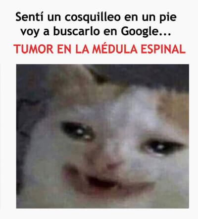 Memelandia, memes seleccionados para vos