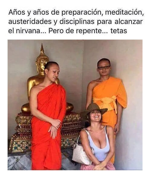 Memelandia, memes seleccionados para vos